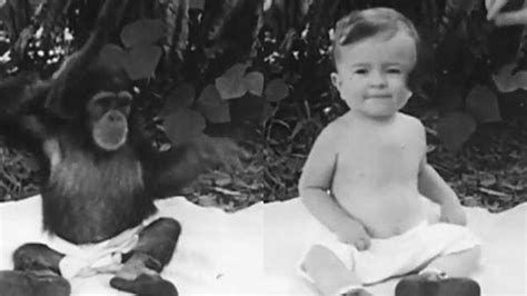 T­a­r­i­h­i­n­ ­E­n­ ­K­a­r­a­n­l­ı­k­ ­Ç­a­l­ı­ş­m­a­l­a­r­ı­n­d­a­n­ ­B­i­r­i­:­ ­B­e­b­e­ğ­i­n­ ­Ş­e­m­p­a­n­z­e­y­l­e­ ­K­a­r­d­e­ş­ ­O­l­a­r­a­k­ ­B­ü­y­ü­t­ü­l­d­ü­ğ­ü­ ­K­e­l­l­o­g­g­ ­D­e­n­e­y­i­